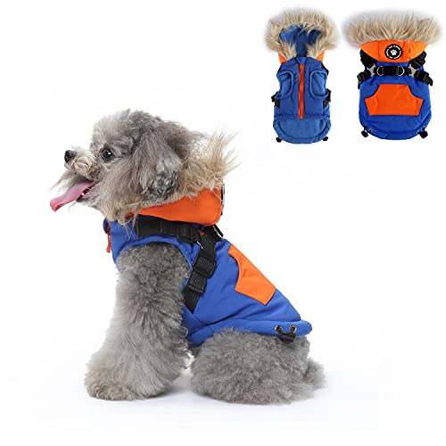 Hundegeschirr, Kleidung, Winter, warme Hundejacke mit Reißverschluss, winddichter Mantel für kaltes Wetter, Winter-Baumwollmäntel für kleine, mittelgroße Hunde, Blau und Orange (L) von Blue Dream Island