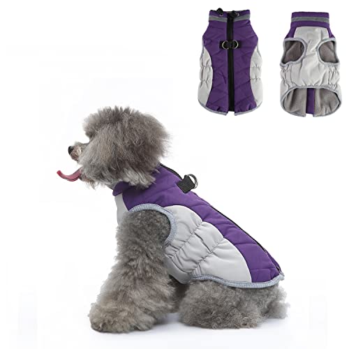 Hundegeschirr, Kleidung, Winter, warme Hundejacke mit Reißverschluss, winddichter Mantel für kaltes Wetter, Winter-Baumwollmäntel für kleine, mittelgroße Hunde, lila und grau (M) von Blue Dream Island