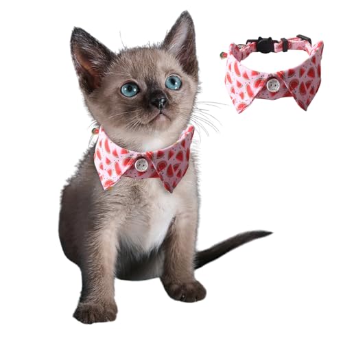 Süßes Hundehalsband für kleine Hunde mit Glöckchen-Anhänger, verstellbar, Schnellverschluss, Haustier-Shirt-Halsband mit D-Ring für Katzen, Welpen, kleine Hunde, Wassermelone von Blue Dream Island