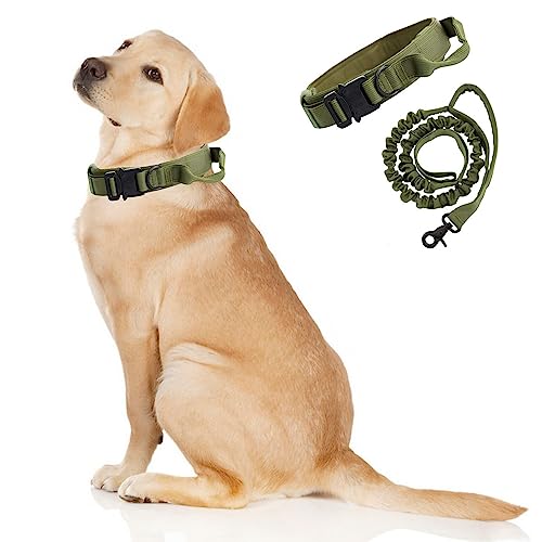 Taktisches Hundehalsband und Leine, verstellbares Halsband mit Griff für große und mittelgroße Hunde, Größe L, Militärgrün von Blue Dream Island