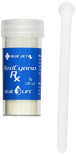 Blue Life USA Cyano RX Aquarium Behandlung, rot von BLUE LIFE