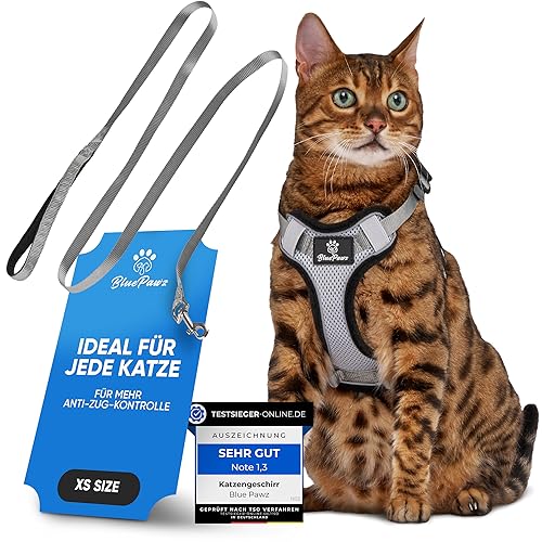 Blue Pawz Katzengeschirr mit Leine - 170cm | Katzengeschirr ausbruchsicher & hochwertig | Katzenleine mit Geschirr für Katzen | Katzen Geschirr für unvergessliche Momente (XS), Grau von Blue Pawz