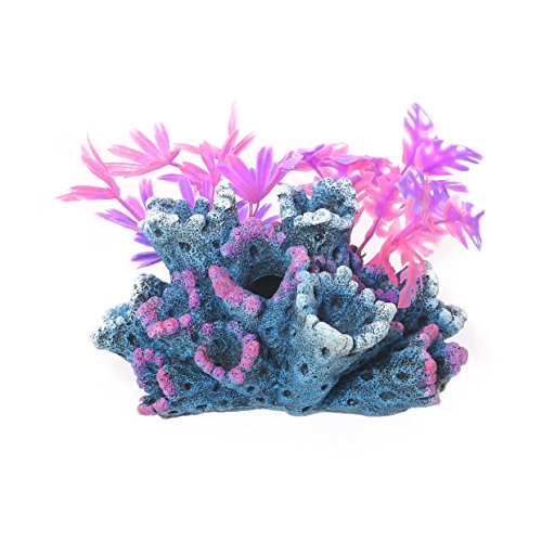 Rosewood Blue Ribbon 911771 Fantasy-Riff mit Pflanzen Als Aquarium und Aquaristik-Ornament von Blue Ribbon