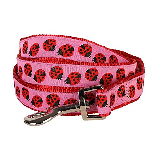 Blueberry Pet 1,5 cm by 150 cm Pinkes Gewebe Marienkäfer Designer kleine Basic Nylon-Hundeleinen, S Kleine Hundeleine, Passender Hundehalsband & Hundegeschirr erhältlich Separate von Blueberry Pet