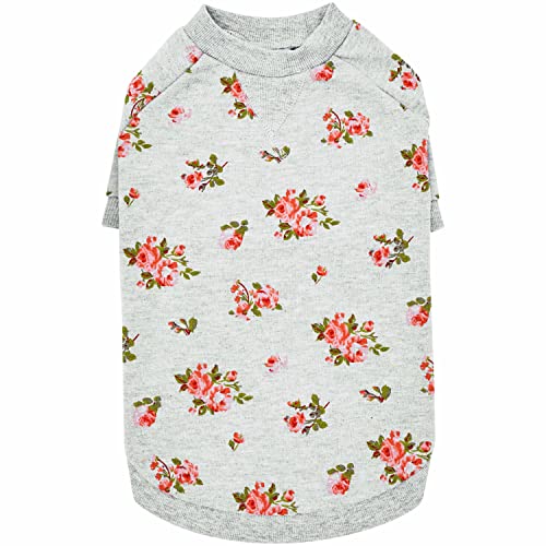 Blueberry Pet 2022/2023 New Spring Scent Inspired Rose Flower Crewneck Pullover Dog Sweatshirt in Stylish Grey, Rückenlänge 30,5 cm, 1 Stück Kleidung für Hunde von Blueberry Pet