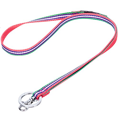 Blueberry Pet 3M Reflektor Bunte Streifen Pink Smaragdgrün und Orchidee Herren Damen Mode Anti-Würge Umhängeband Lanyard Schlüsselband für Schlüssel / Ausweis / Anhänger mit Sicherheits-‘Breakaway’-Schnalle von Blueberry Pet