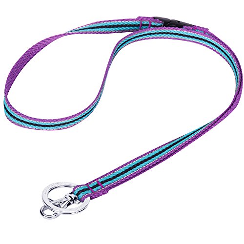 Blueberry Pet 3M Reflektor Bunte Streifen Violett und Himmelblau Herren Damen Mode Anti-Würge Umhängeband Lanyard Schlüsselband für Schlüssel/Ausweis/Anhänger mit Sicherheits-‘Breakaway’-Schnalle von Blueberry Pet