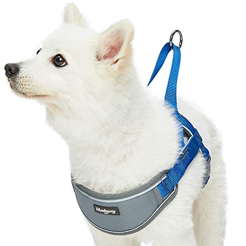 Blueberry Pet 52-66cm Brust 3M Multifunktions Reflektorstreifen Verstellbares Neopren Gepolstertes Hundegeschirr in Marina Blau von Blueberry Pet