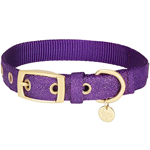 Blueberry Pet Das Begehrteste Designer Misch-Glanzfaden Hundehalsband in Leuchtend Lametta Lila mit Metallschnalle, Hals 19cm-25cm, Verstellbare Halsbänder für Hunde von Blueberry Pet