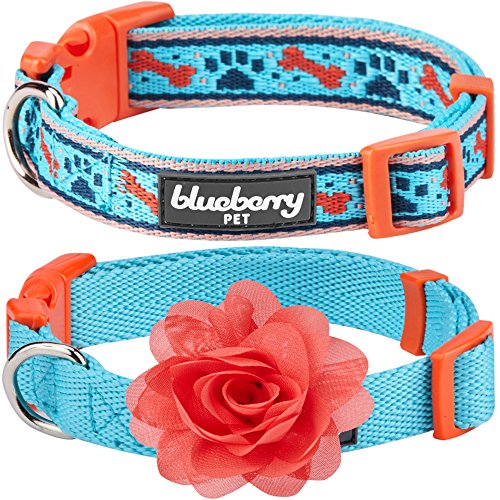 Blueberry Pet Doppelpack Mix & Match Perfekter Blauer Himmel Designer Hundehalsband mit Blumen-Deko, L, Hals 45cm-66cm von Blueberry Pet