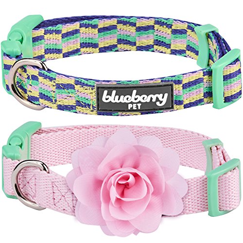 Blueberry Pet Doppelpack Mix & Match Schöne Stücke Designer Hundehalsband mit Blumen-Deko, M, Hals 37cm-50cm von Blueberry Pet