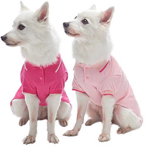 Blueberry Pet Doppelpackung Basisstücke Baumwoll-Mischgewebe Hunde-Poloshirts in Amarantrot und Rosa, Rückenlänge 25cm von Blueberry Pet