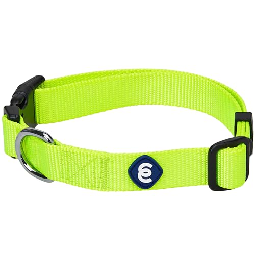 Blueberry Pet Essentials 2020 klassisches Hundehalsband, Neongelb, Größe L, Halsumfang 45,7 - 66 cm, Halsbänder für Hunde von Blueberry Pet