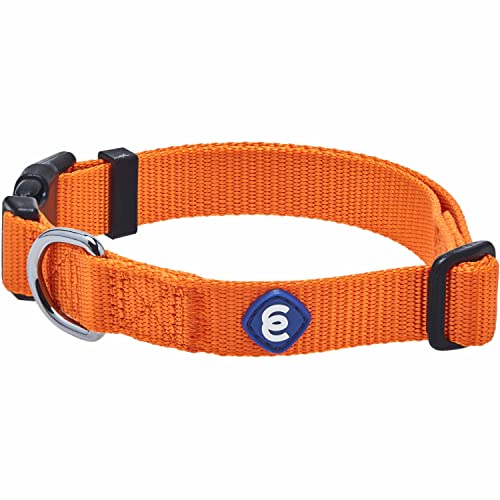 Blueberry Pet Essentials 2022 Hundehalsband, klassisch, langlebig, solides Nylon, verstellbar, Orange Zinnoberrot, Größe M, Halsumfang 36,8 - 50,8 cm, für Jungen und Mädchen von Blueberry Pet