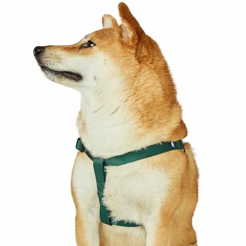 Blueberry Pet Essentials 2022 New Classic Durable Solid Nylon Step-in Hundegeschirr, Brustumfang 50,8 cm - 66 cm, Verdant Green, Medium, Verstellbare Geschirre für Welpen, Jungen, Mädchen, Hunde von Blueberry Pet