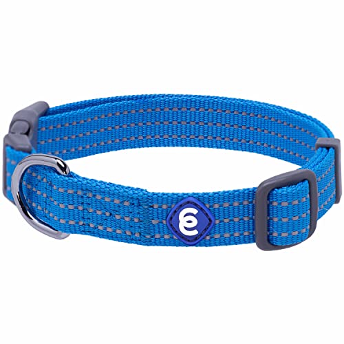 Blueberry Pet Essentials Back to Basics Hundehalsband, reflektierend, verstellbar, Größe L, Halsumfang 45,7 - 66 cm, Blau von Blueberry Pet