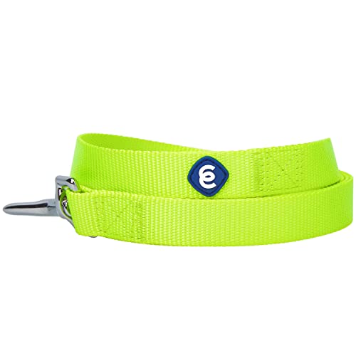 Blueberry Pet Essentials Hundeleine, langlebig, klassisch, 1,2 x 2,5 cm, Textmarker, Gelb, Größe L, Basic Nylon-Leinen für Hunde von Blueberry Pet