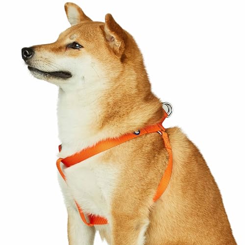 Blueberry Pet Essentials Passendes Hundegeschirr für kleine Hunde, verstellbar, klassisch, massives Nylon, kein Ziehen, leicht zu gehen, Hundegeschirr für kleine Hunde, Orange Zinnoberrot von Blueberry Pet