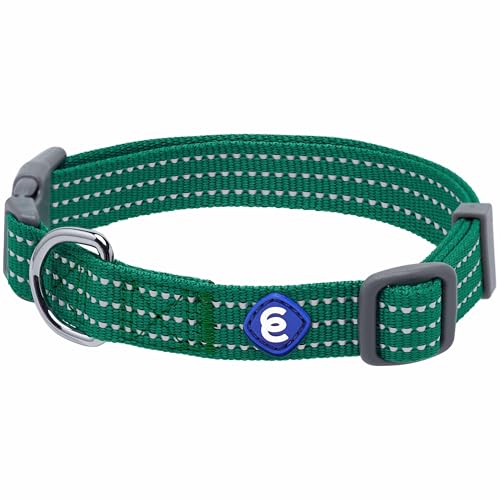 Blueberry Pet Essentials Reflective Back to Basics Hundehalsband, verstellbar, Dunkelgrün, Größe L, Halsumfang 45,7 cm - 66 cm von Blueberry Pet