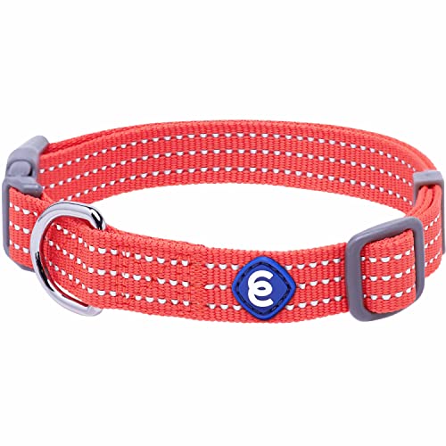 Blueberry Pet Essentials Reflective Back to Basics Hundehalsband, verstellbar, Feuerrot, Größe L, Halsumfang 45,7 - 66 cm von Blueberry Pet