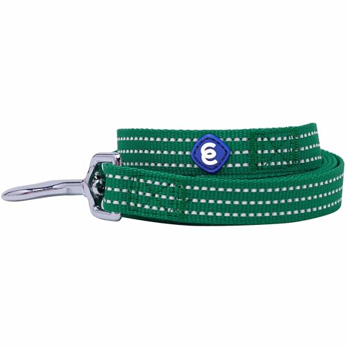 Blueberry Pet Essentials Reflective Back to Basics Hundeleine, Dunkelgrün, 1,5 m x 1,6 cm, Größe S, Leinen für Hunde von Blueberry Pet