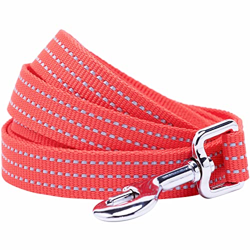 Blueberry Pet Essentials Reflective Back to Basics Hundeleine, Feuerrot, 1,5 m x 1,6 cm, Größe S, Leinen für Hunde von Blueberry Pet