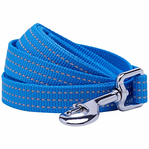 Blueberry Pet Essentials Reflective Back to Basics Hundeleine, French Blue, 152 x 1,6 cm, Größe S, Leinen für Hunde von Blueberry Pet