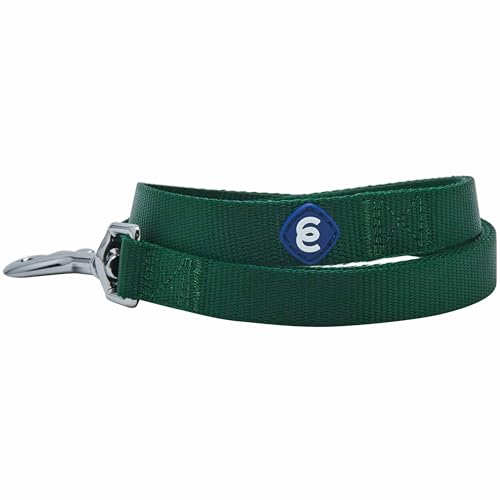 Blueberry Pet Essentials langlebige klassische Hundeleine, einfache Nylon-Hundeleine, 1,52 m x 1,6 cm, Grüngrün, Standard-Hundeleine und leichte Hundeleine für Training von Blueberry Pet