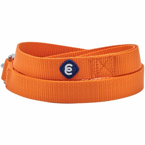 Blueberry Pet Essentials strapazierfähige, klassische Hundeleine, einfache Nylon-Hundeleine, 1,52 m x 1,6 cm, orangefarbene Zinnober-Hundeleine, Standard-Hundeleinen und leichte Hundeleine für das von Blueberry Pet