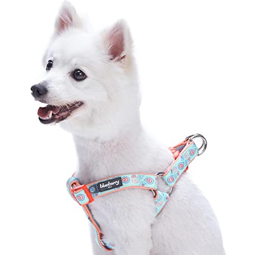 Blueberry Pet Hundegeschirr, mit blumigem Paisley-Druck, verstellbar, mit weichem Neopren gepolstert, passendes Halsband und Leine separat erhältlich von Blueberry Pet