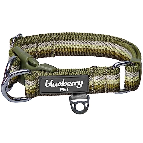 Blueberry Pet Hundehalsband, gestreift, verstellbar, Olivgrün, Größe XL, Halsumfang 45,7–66 cm von Blueberry Pet