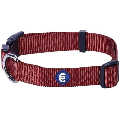 Blueberry Pet Hundehalsband Klassisch Einfarbig 1 cm XS Basic Polyester Nylon Hundehalsband für Welpen Langlebig - Fired Ziegelstein von Blueberry Pet