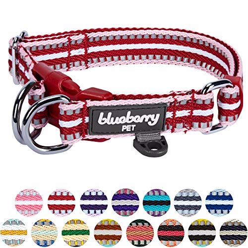 Blueberry Pet Hundehalsband in normaler oder Martingale-Ausführung, mehrfarbig gestreift, 3M-Reflexfäden von Blueberry Pet