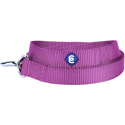 Blueberry Pet Hundeleinen 1 cm by 150 cm Klassisch Einfarbige Basic Nylon-Hundeleinen für Welpen Langlebig - Violett, XS Extra Kleine Hundeleine von Blueberry Pet