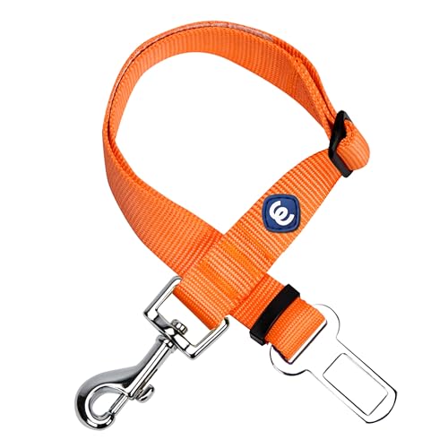 Blueberry Pet Klassische Uni-Farben-Kollektion, 22 Farben, normale Halsbänder, Martingal-Halsbänder oder Sicherheitsgurte, Seatbelt - 1" * 16.5"-25.5", Florenz Orange von Blueberry Pet