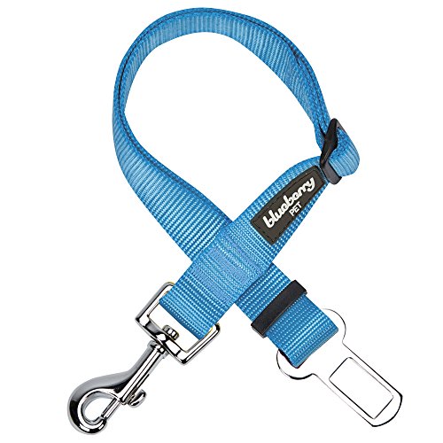 Blueberry Pet Klassische Uni-Farben-Kollektion, 22 Farben, normale Halsbänder, Martingal-Halsbänder oder Sicherheitsgurte, Seatbelt - 1" * 16.5"-25.5", Mitteltürkis von Blueberry Pet