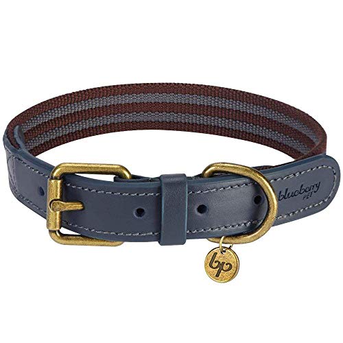 Blueberry Pet Klassisches Gestreiftes Basis Echtleder Hundehalsband in Noir-Grau und Bordeaux-Rot, S, Hals 30,5cm-38cm von Blueberry Pet