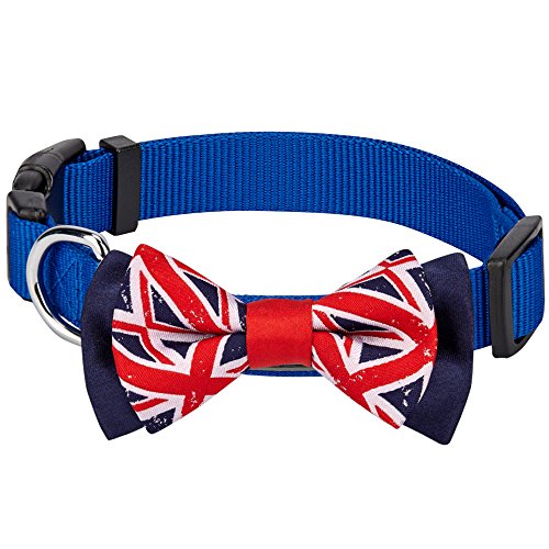 Blueberry Pet Nationalstolz Artistische Handgefertigte Union Jack Flagge Fliege Hundehalsband in Blau, M, Hals 37cm-50cm von Blueberry Pet