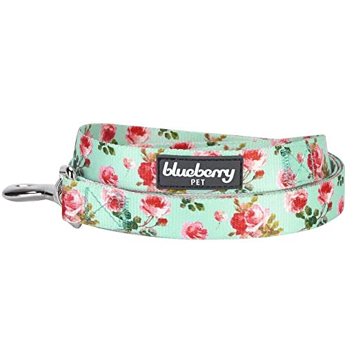 Blueberry Pet New 1,5 cm by 150 cm Frühlingsduft Inspiriertes Geblümtes Rosenmuster Türkis kleine Basic Nylon-Hundeleinen, S Kleine Hundeleine, Passender Hundehalsband erhältlich Separate von Blueberry Pet