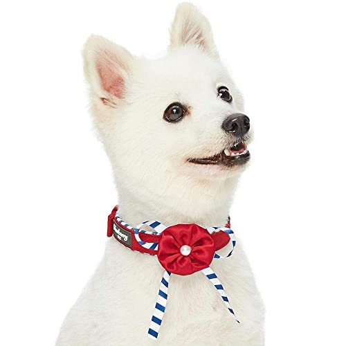 Blueberry Pet Sea Lover Hundehalsband, (13"-16.5") Neck * 3/4" Wide, Timeless Sailor Red von Blueberry Pet