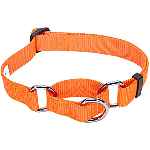 Blueberry Pet Sicherheitstraining Martingale Hundehalsband Klassisch Einfarbig 1,5 cm S Basic Nylon Hundehalsband Langlebig - Florenz-Orange von Blueberry Pet