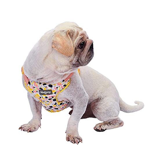 Blueberry Pet Spring Made Well Blooming Hundegeschirr mit Blumenmuster, cremeweiß, Brustumfang 45 cm-53,5 cm, Halsumfang 42 cm-50,5 cm, klein, verstellbares Geschirr für Hunde von Blueberry Pet