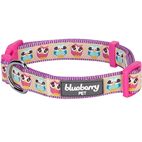 Blueberry Pet Statement Nachteulen Designer Hundehalsband, Hals 37cm-50cm, M, Verstellbare Halsbänder für Hunde von Blueberry Pet