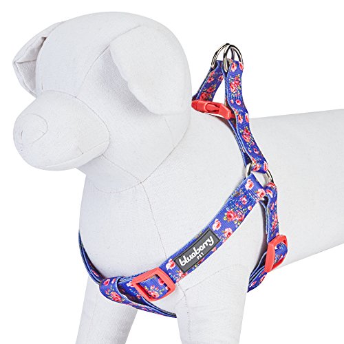 Blueberry Pet Step-In Hundegeschirr Frühlingsduft Inspiriertes Rosenmuster Irisch-Blau Hundegeschirr mit Zugentlastung Verstellbar, Nylon 51-66cm Brust von Blueberry Pet