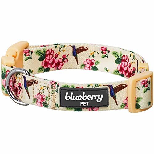 Blueberry Pet Verstellbares Hundehalsband, Blumen- und Kolibri-Design, Zitronen-Chiffon, klein, Halsumfang 30,5 - 40,6 cm von Blueberry Pet