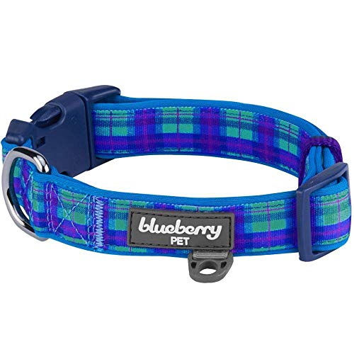 Blueberry Pet Weich & Bequem Schottisches Hudson-Blaues Karo Schottenmuster Stil Gepolstertes Designer Hundehalsband, S, Hals 30cm-40cm, Verstellbare Halsbänder für Hunde von Blueberry Pet