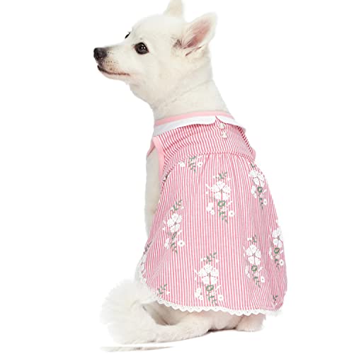 Blueberry Pet Wunderland Ärmelloses Kleid in Pink Gestreift mit Bubikragen, Rückenlänge 30cm, Einzelpackung Bekleidung für Hunde von Blueberry Pet