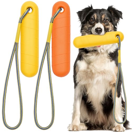 Blueweenly Schwimmendes Hundespielzeug, EVA-Schaum, Hundespielzeug, verschiedene Farben, für mittelgroße und große und kleine Hunde, 2 Stück von Blueweenly