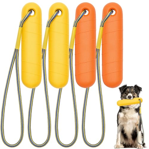 Blueweenly Schwimmendes Hundespielzeug, interaktives Hundespielzeug, EVA-Schaum, verschiedene Farben, für mittelgroße und große und kleine Hunde, 4 Stück von Blueweenly