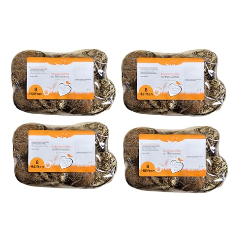 Blumixx Kokosnusshälften mit Mehlwürmern – Vogelfutter, Wildvogelfutter Ganzjahresfutter, Proteinreich, Einfach Aufhängen, Eichhörnchen Futter, 32 Stück von Blumixx